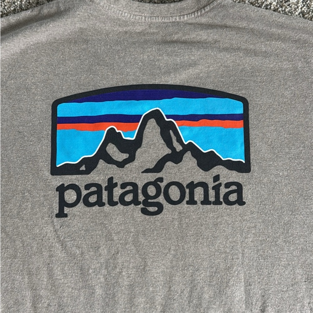 Patagonia Tan Regular Fit Tee